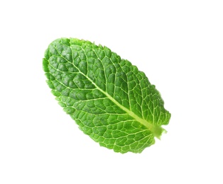 Photo of Green wet leaf of fresh mint isolated on white