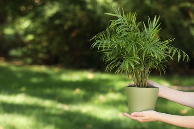 Photo of Woman with potted chamaedorea palm outdoors, closeup. Space for text
