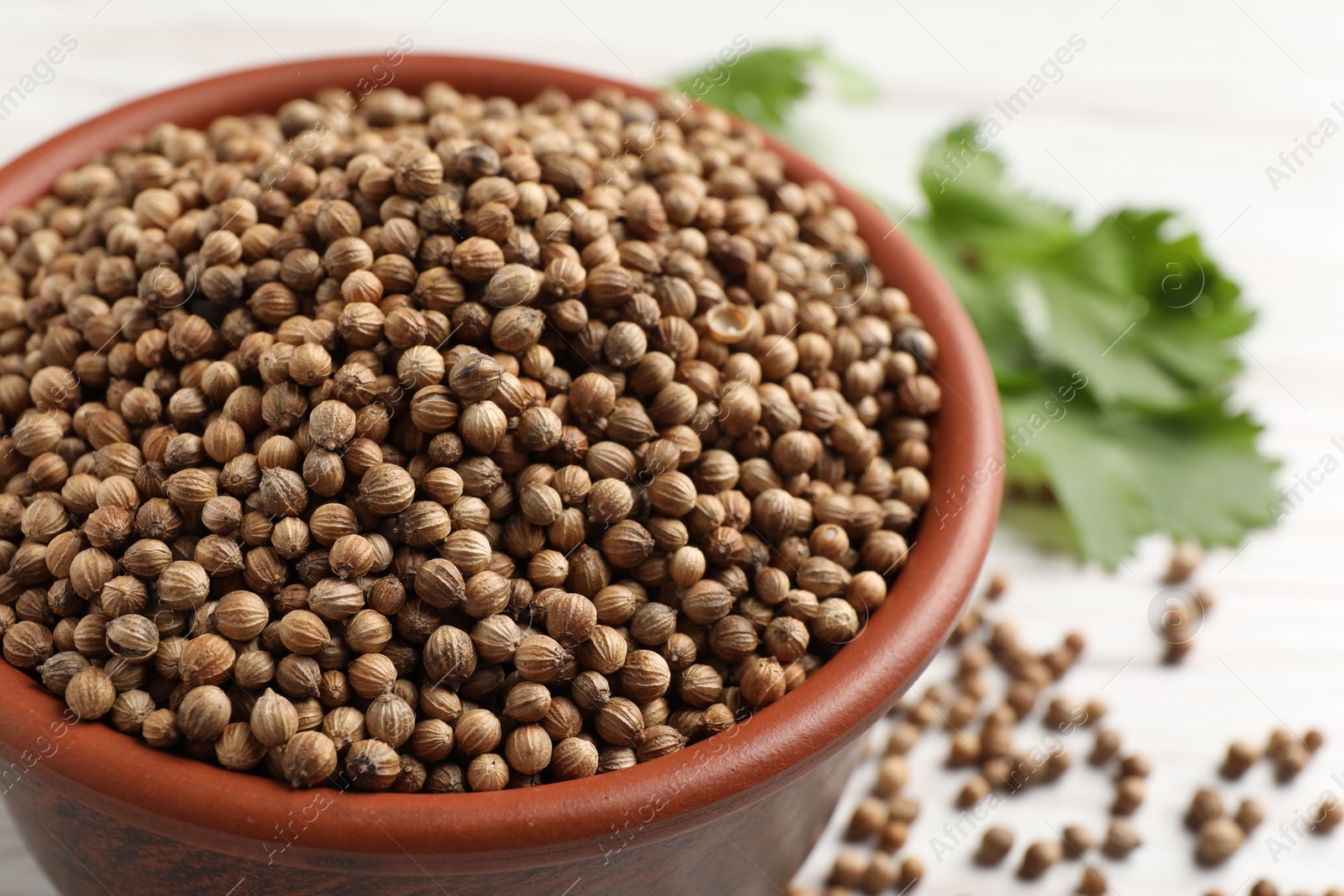 Photo of Dried coriander seeds in bowl on light table, closeup