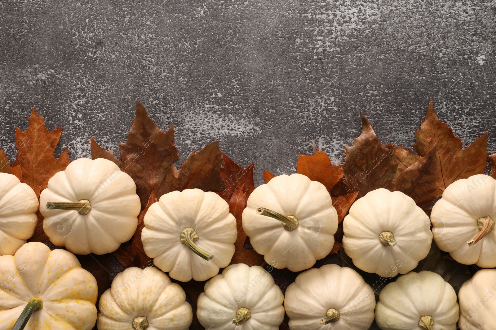 Photo of Ripe white pumpkins and dry leaves on grey textured table, flat lay. Space for text