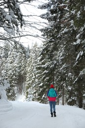 Photo of Woman walking along empty road in winter forest