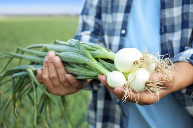 Photo of Man holding fresh green onions outdoors, closeup