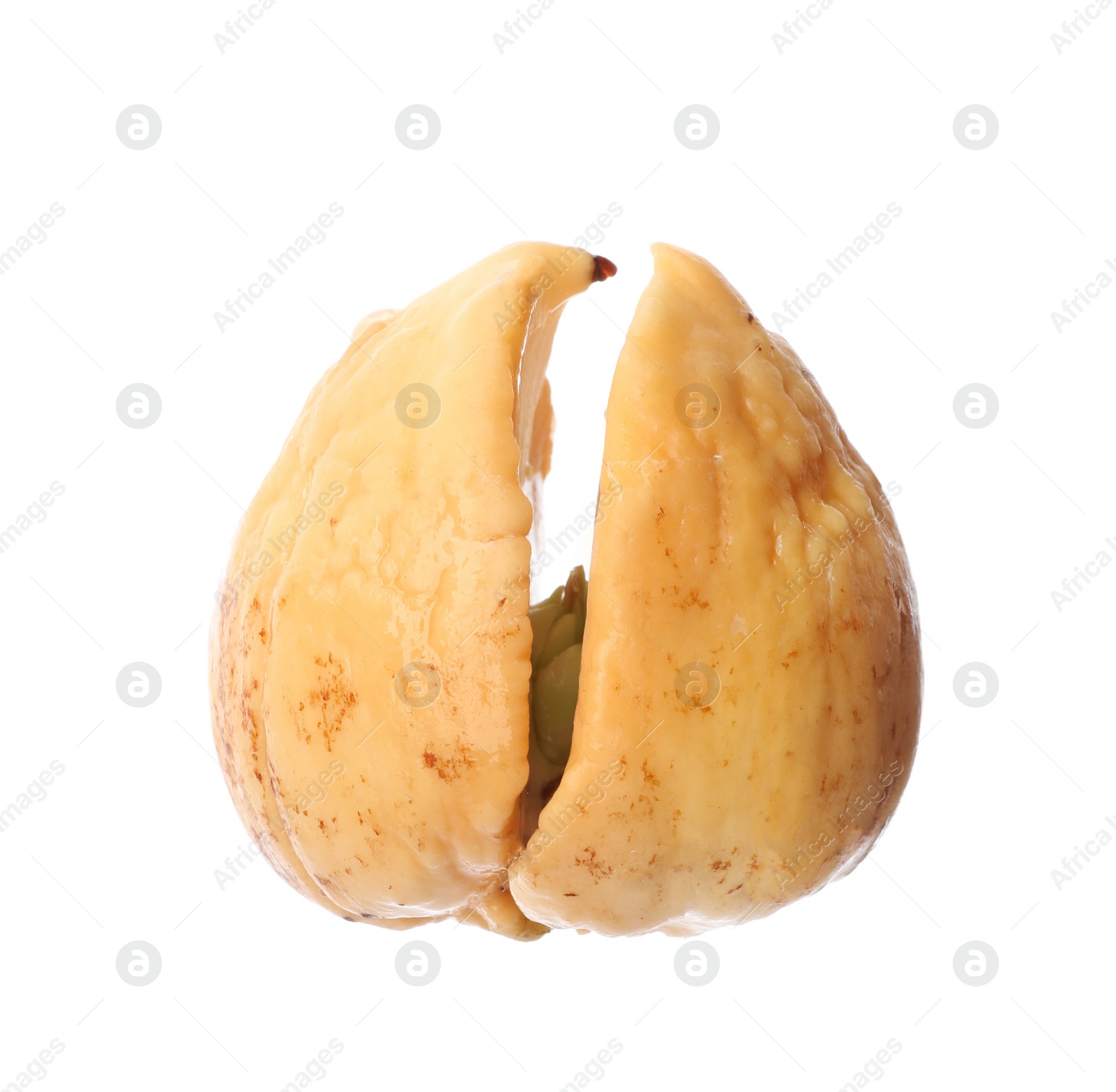 Photo of Small organic avocado pit on white background