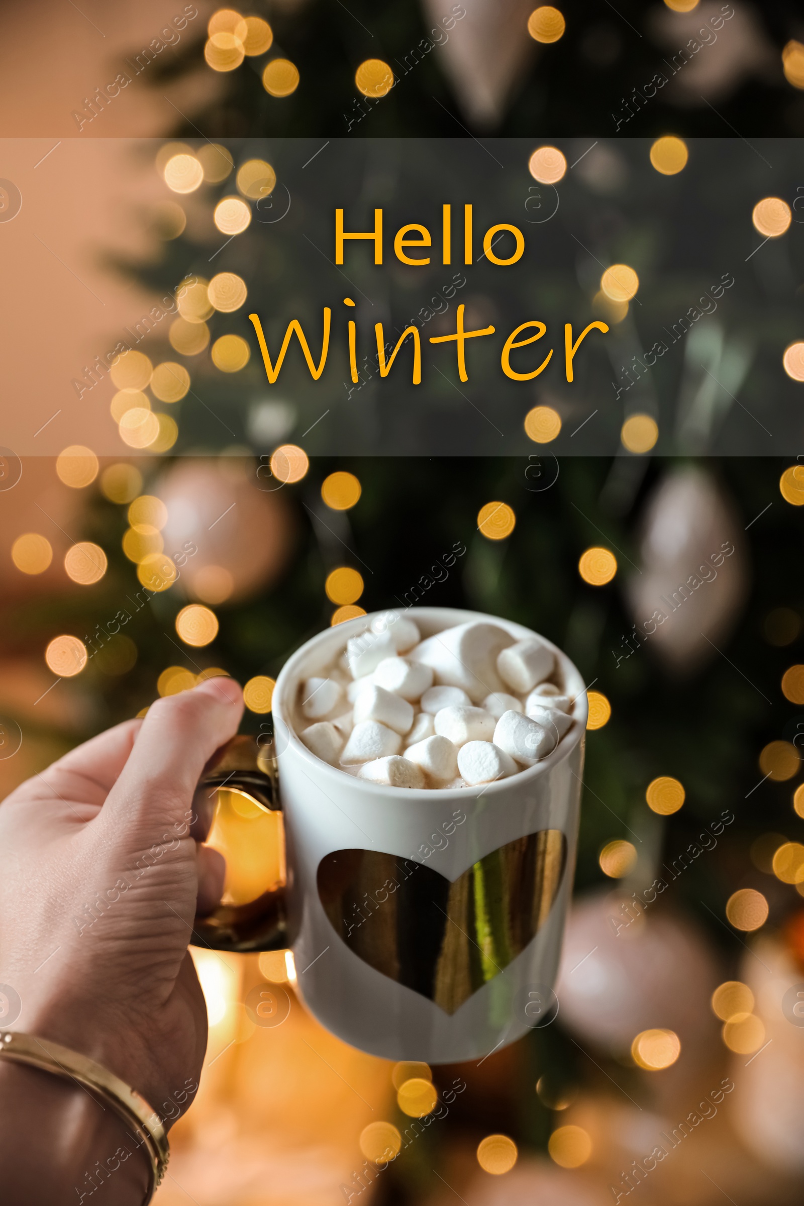 Image of Hello Winter. Woman with cup of cocoa at home, closeup