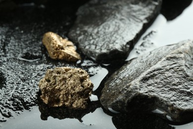 Shiny gold nuggets on wet stones, closeup