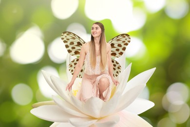 Flower fairy. Beautiful woman with butterfly wings in white lotus