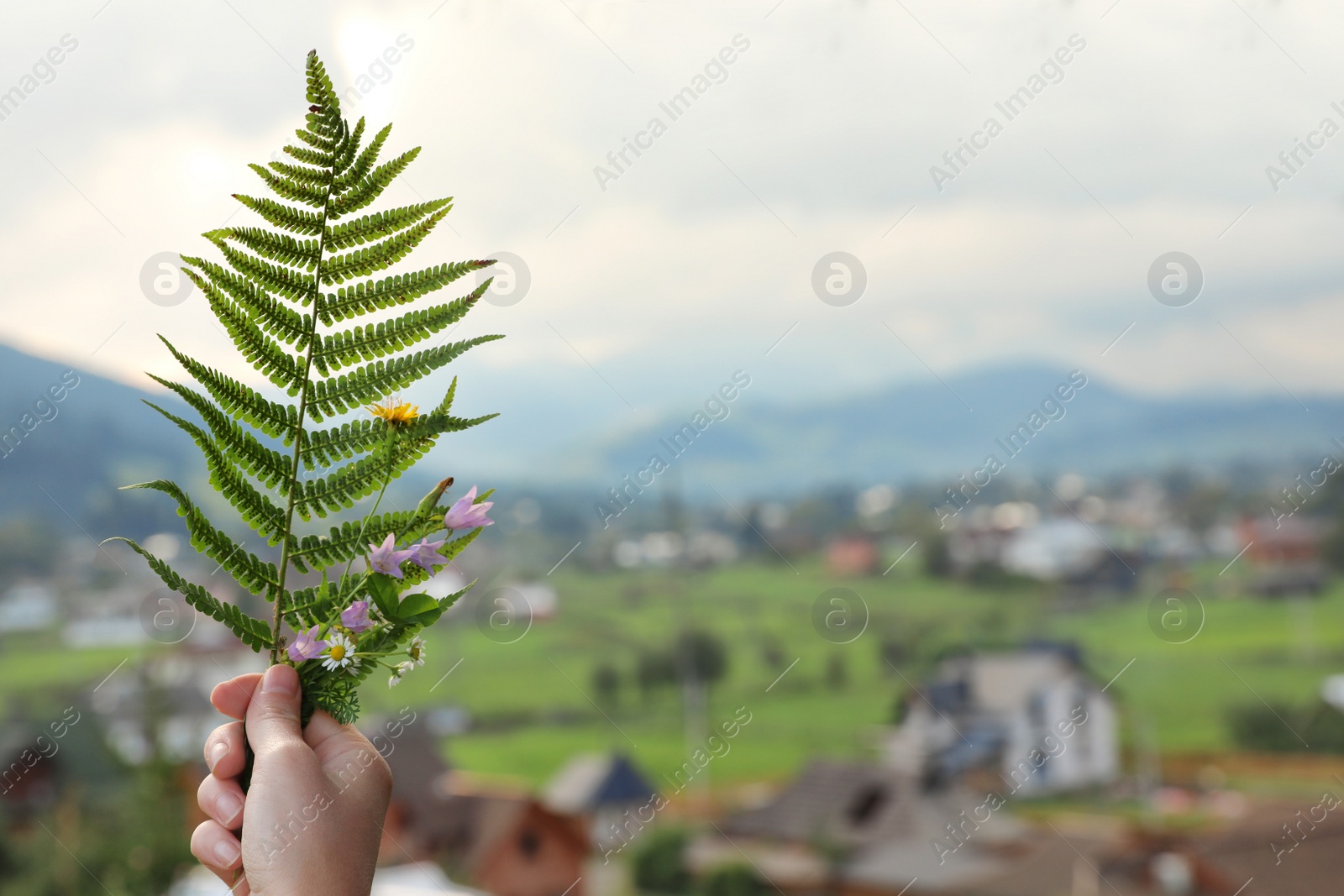 Photo of Woman holding fresh green fern leaf and wildflowers outdoors, closeup with space for text. Tropical plant