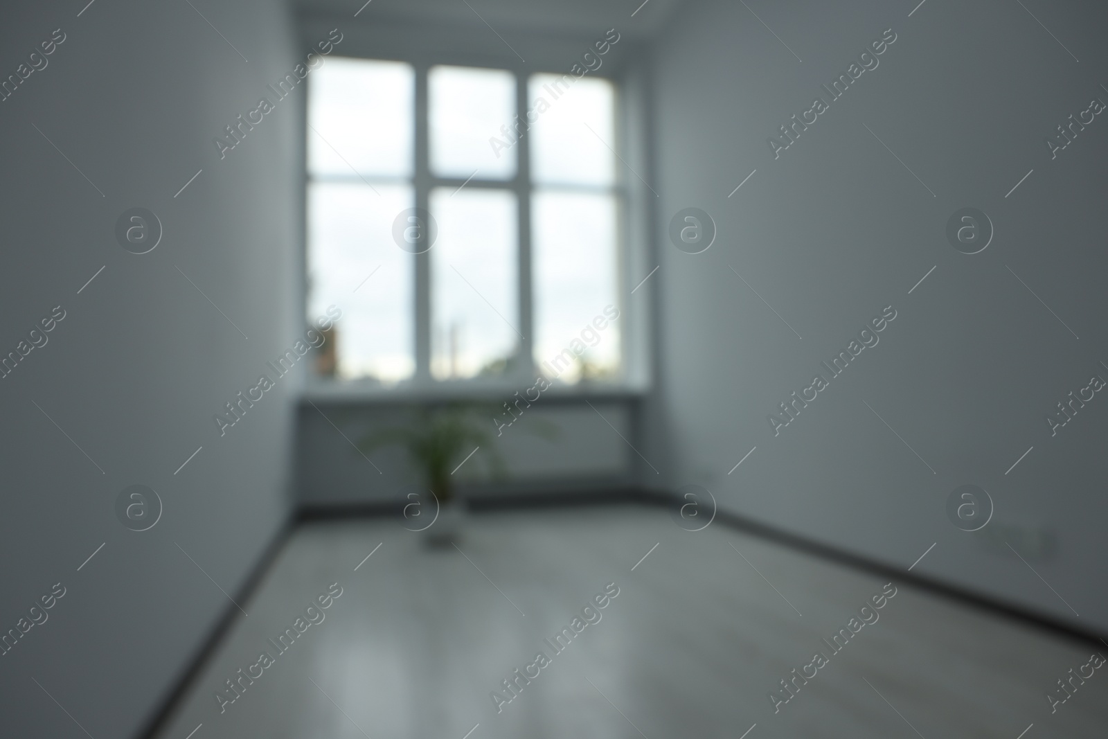 Photo of Blurred view of empty office room with windows and potted houseplants