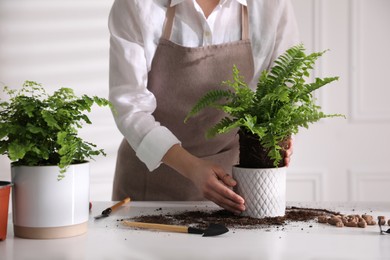 Photo of Woman planting fern at white table indoors, closeup