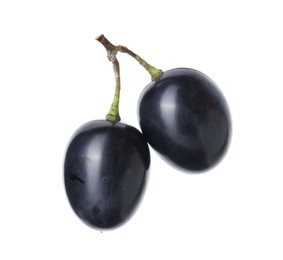 Photo of Two ripe dark blue grapes isolated on white