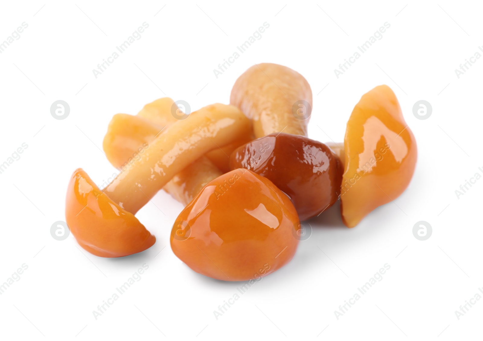 Photo of Tasty marinated honey fungus mushrooms on white background