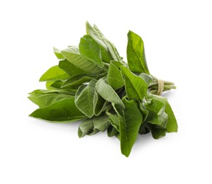 Bunch of fresh sage leaves on white background