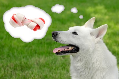 Image of Cute Swiss Shepherd dog dreaming about tasty treat on green grass. Thought cloud with knotted bone