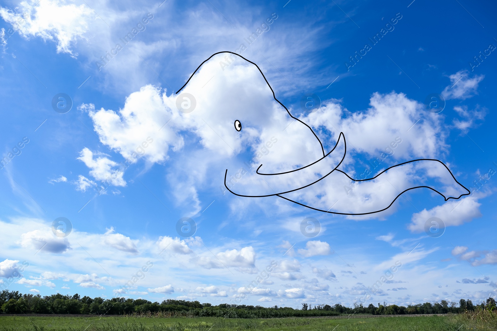Image of Imagination and creativity. Fluffy cloud in shape of elephant with drawn outline in blue sky above field