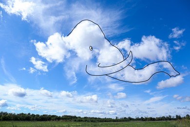 Image of Imagination and creativity. Fluffy cloud in shape of elephant with drawn outline in blue sky above field