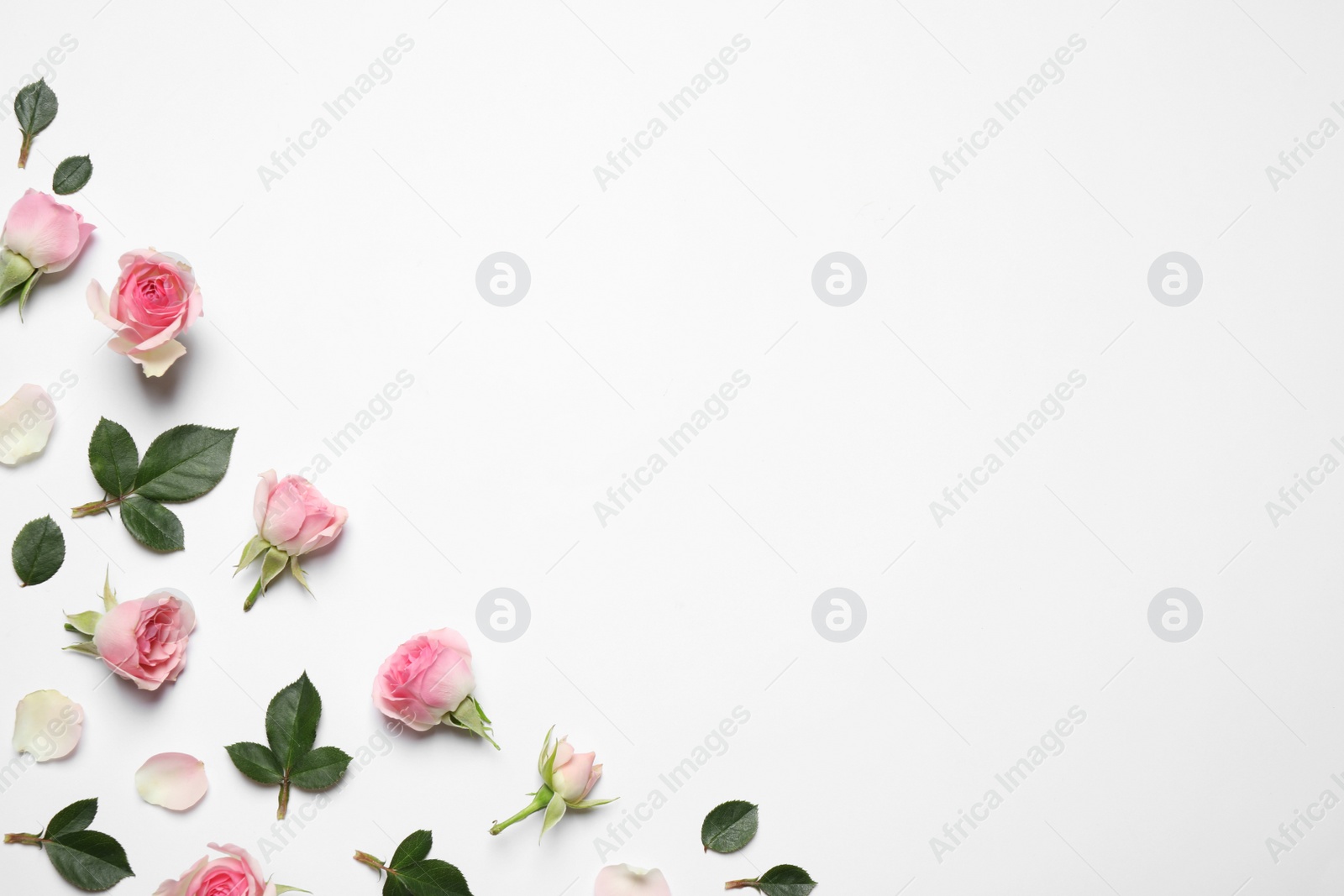 Photo of Composition with beautiful flowers on white background, top view. Floral card design