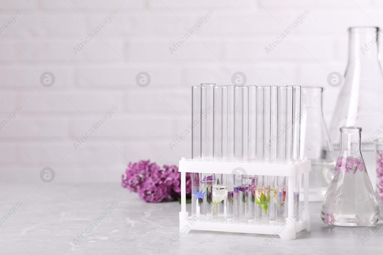 Photo of Test tubes with different flowers on light table, space for text. Essential oil extraction