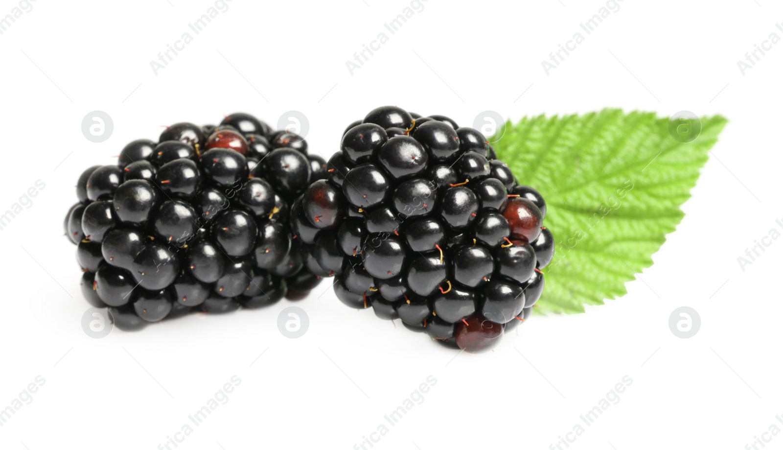 Photo of Tasty ripe blackberries and green leaf isolated on white