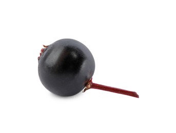 Photo of Delicious ripe black elderberry isolated on white