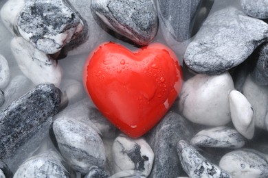 Photo of Red decorative heart on stones and water, top view