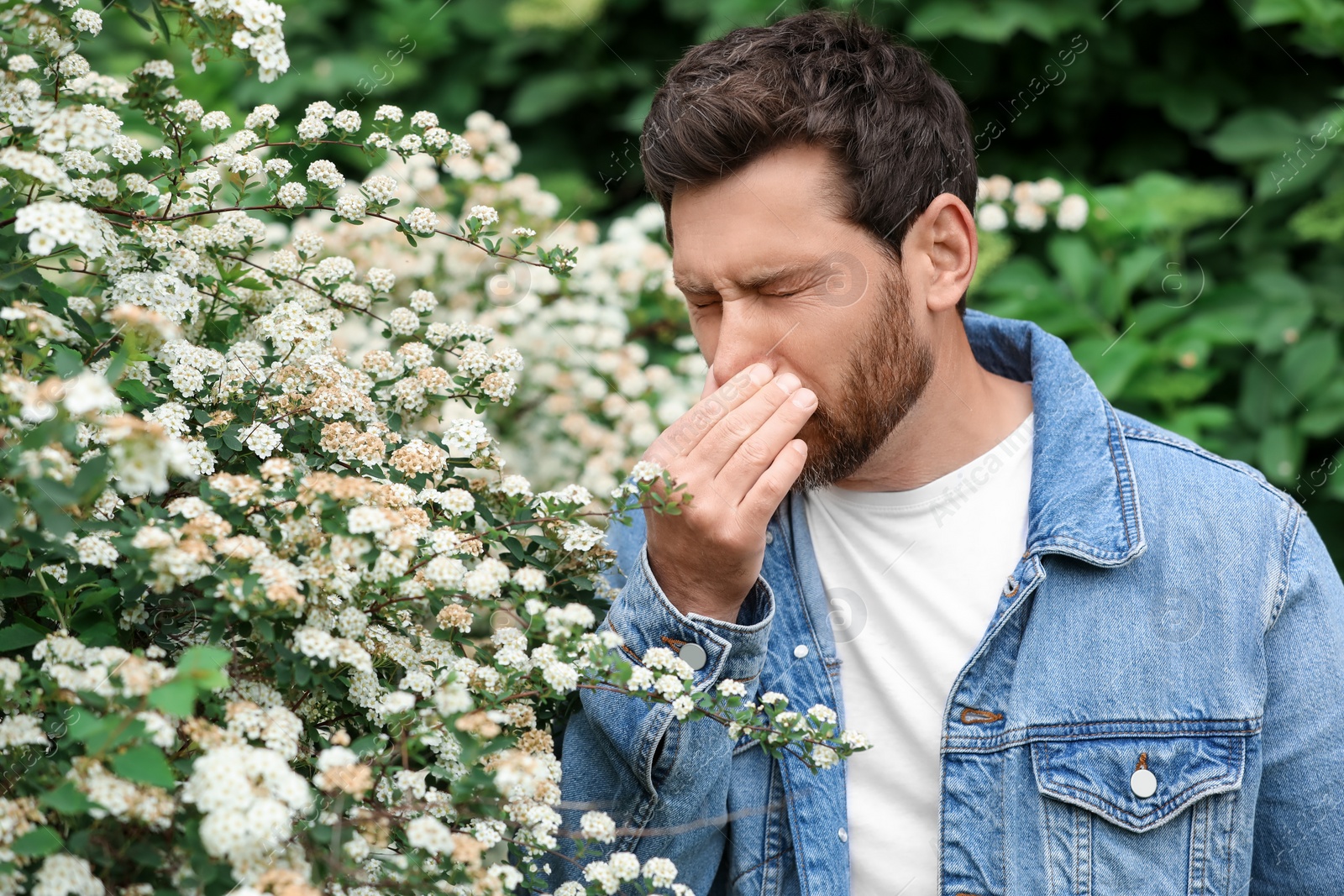 Photo of Man suffering from seasonal pollen allergy near blossoming tree on spring day