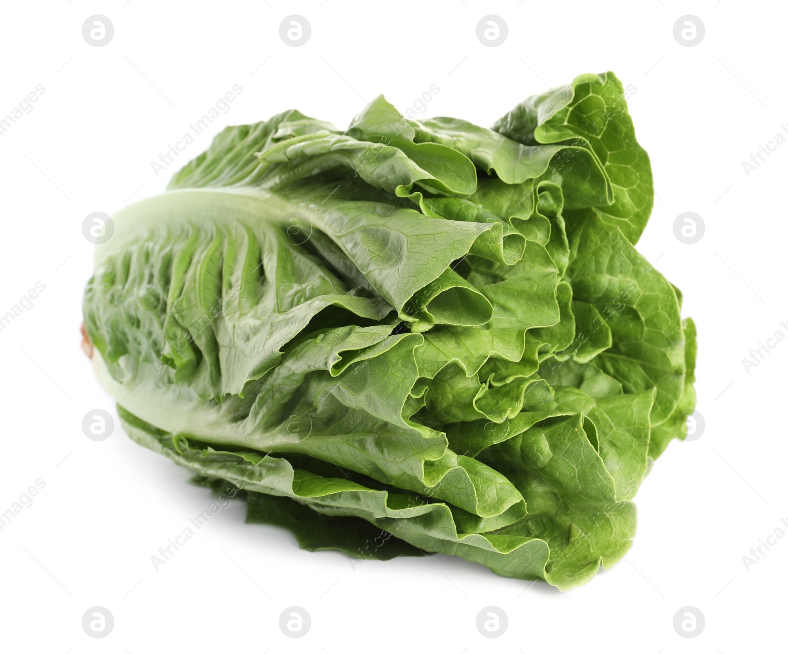 Photo of Fresh green romaine lettuce isolated on white