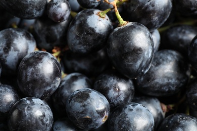 Photo of Fresh ripe juicy black grapes as background, closeup view