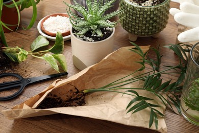 Photo of Houseplants and gardening tools on wooden table