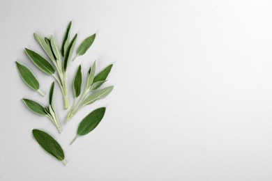Fresh green sage leaves on light background, flat lay. Space for text