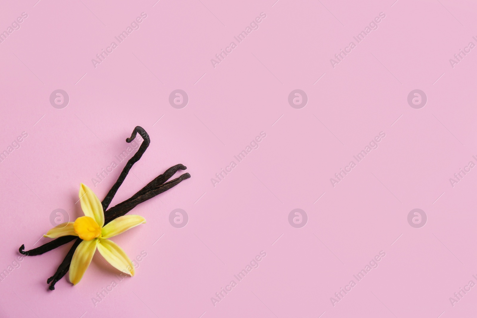 Photo of Flat lay composition with vanilla sticks and flower on pink background. Space for text