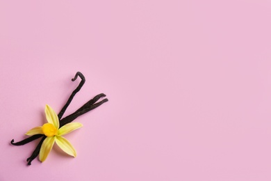 Flat lay composition with vanilla sticks and flower on pink background. Space for text