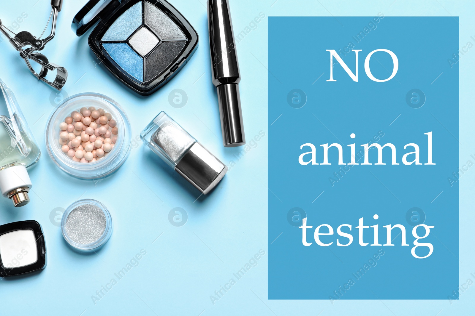 Image of Cosmetic products and text NO ANIMAL TESTING on light blue background, flat lay