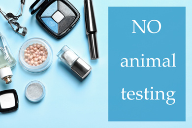 Image of Cosmetic products and text NO ANIMAL TESTING on light blue background, flat lay