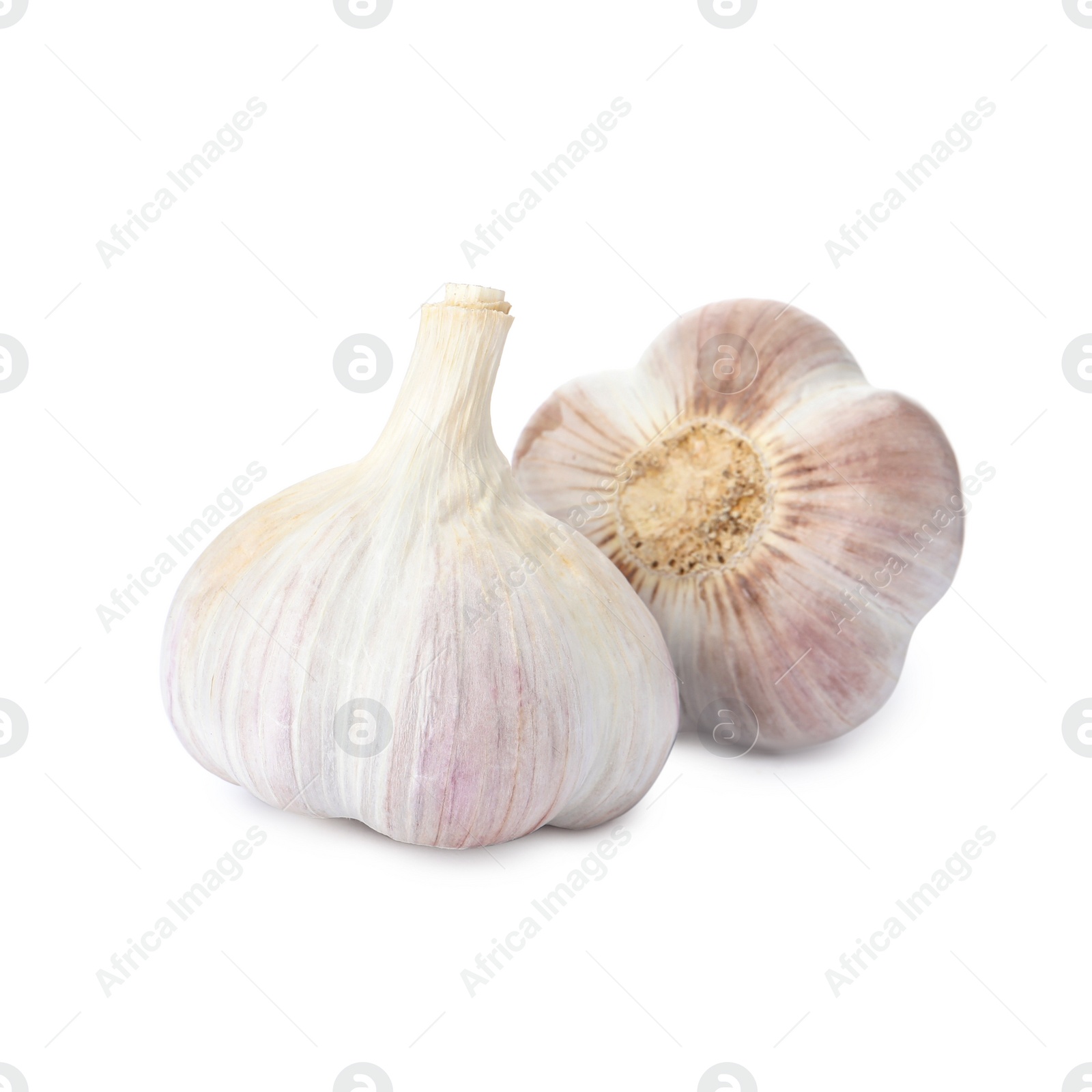 Photo of Fresh organic garlic bulbs on white background