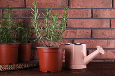 Photo of Beautiful green potted rosemary and watering can on wooden table near brick wall