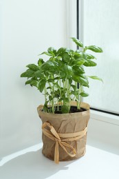 Photo of Aromatic fresh potted basil on windowsill indoors