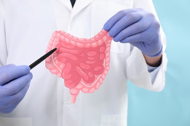 Photo of Doctor showing paper intestine cutout on light blue background, selective focus