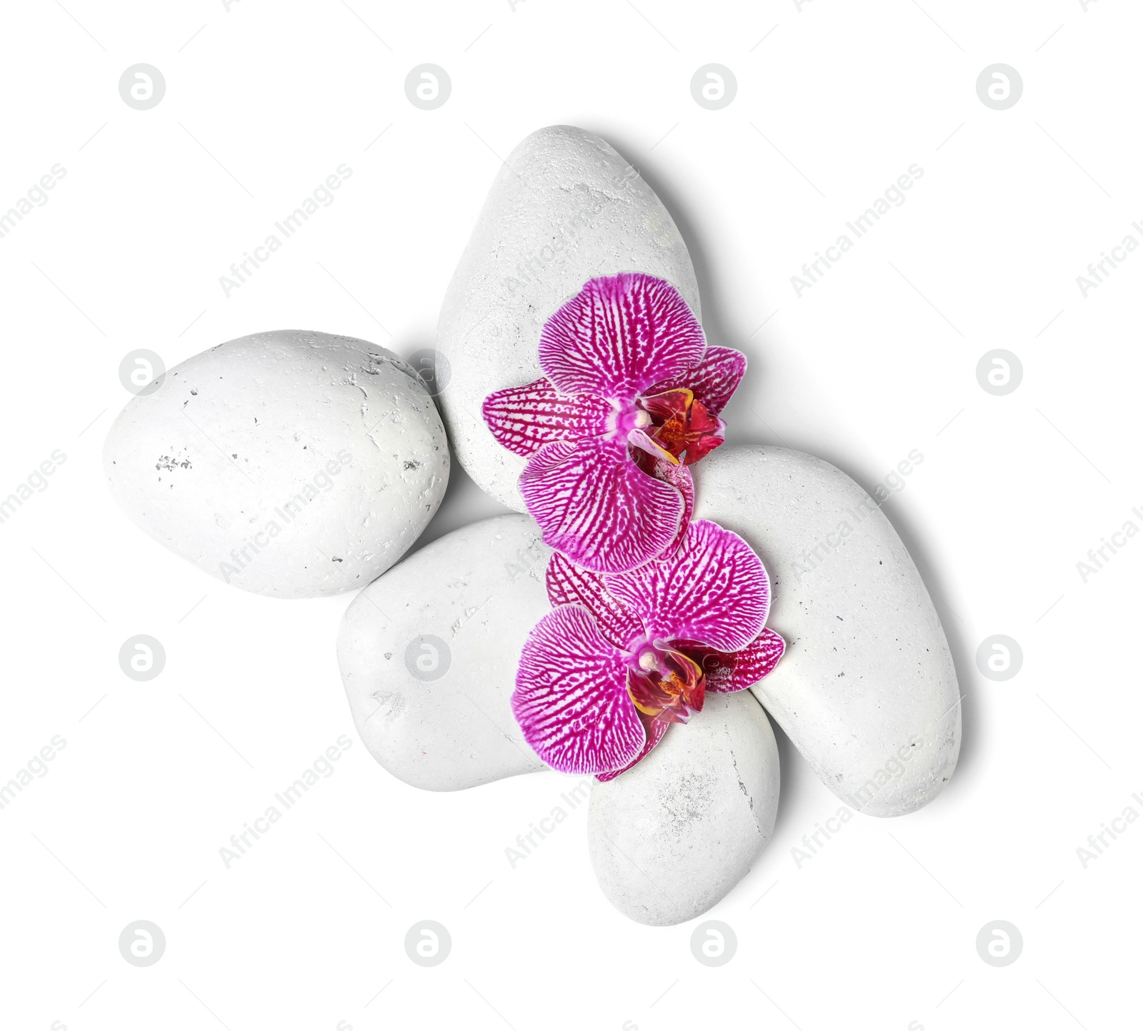 Photo of Spa stones with orchid flowers on white background, top view