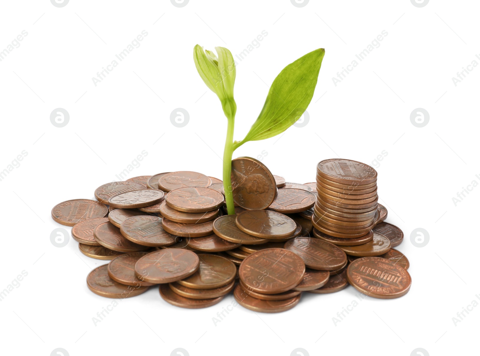 Photo of Pile of coins and green plant on white background. Investment concept