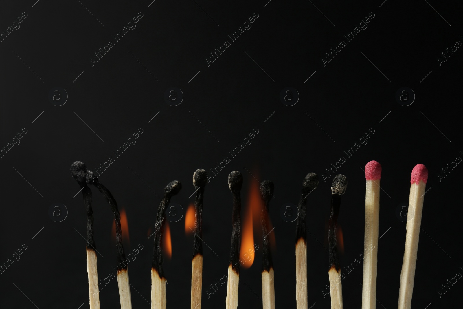 Photo of Burning and whole matches on black background, closeup. Stop destruction concept