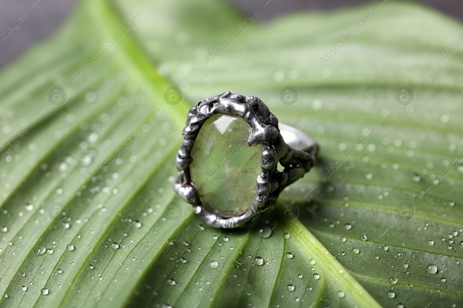 Photo of Beautiful silver ring with prehnite gemstone on green leaf