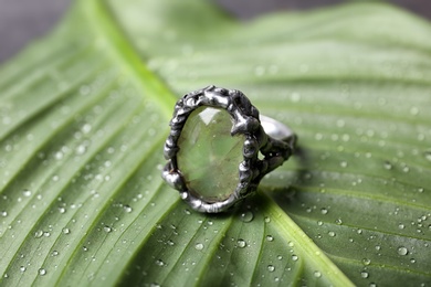 Beautiful silver ring with prehnite gemstone on green leaf