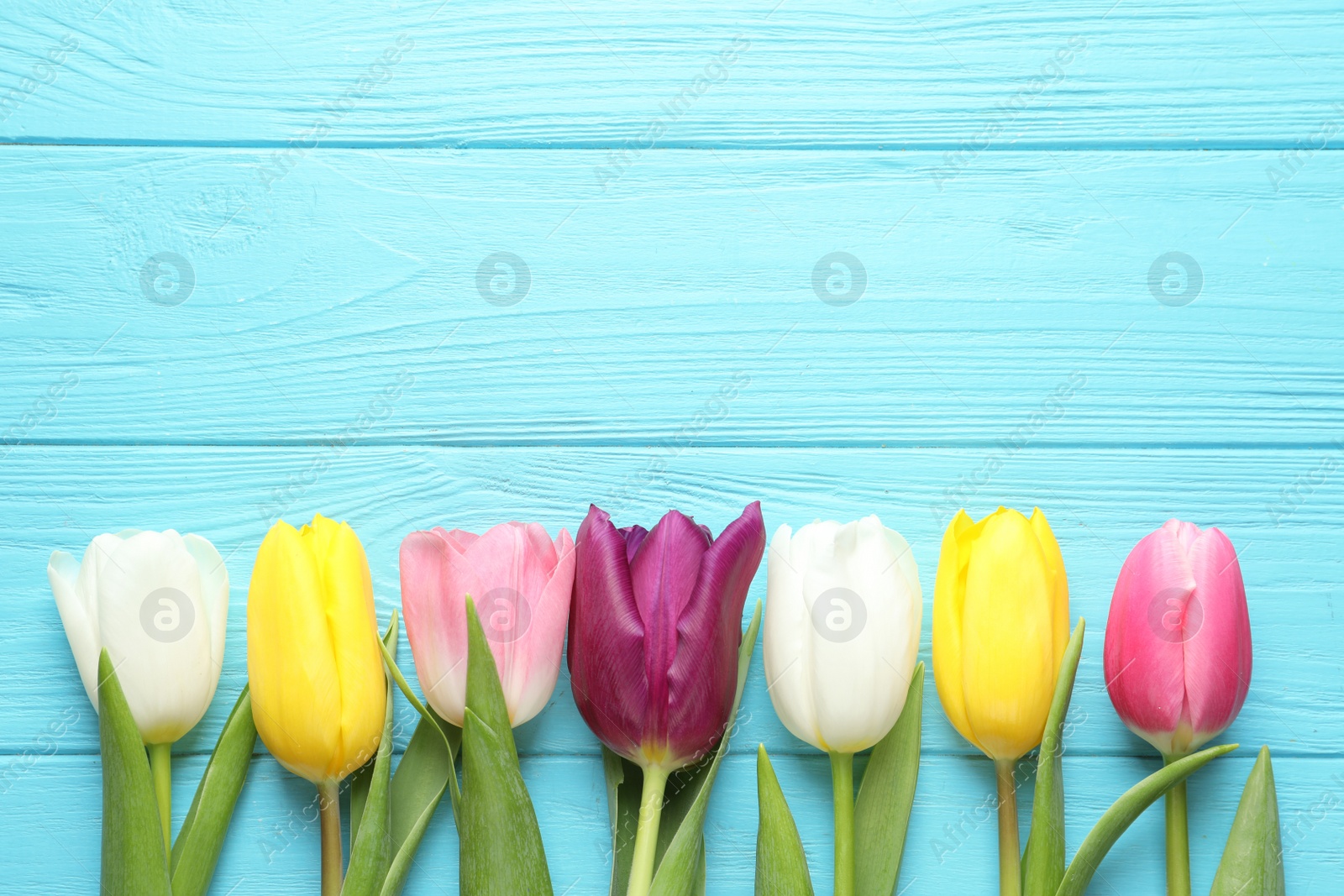 Photo of Flat lay composition of beautiful spring tulips on wooden background, space for text. International Women's Day