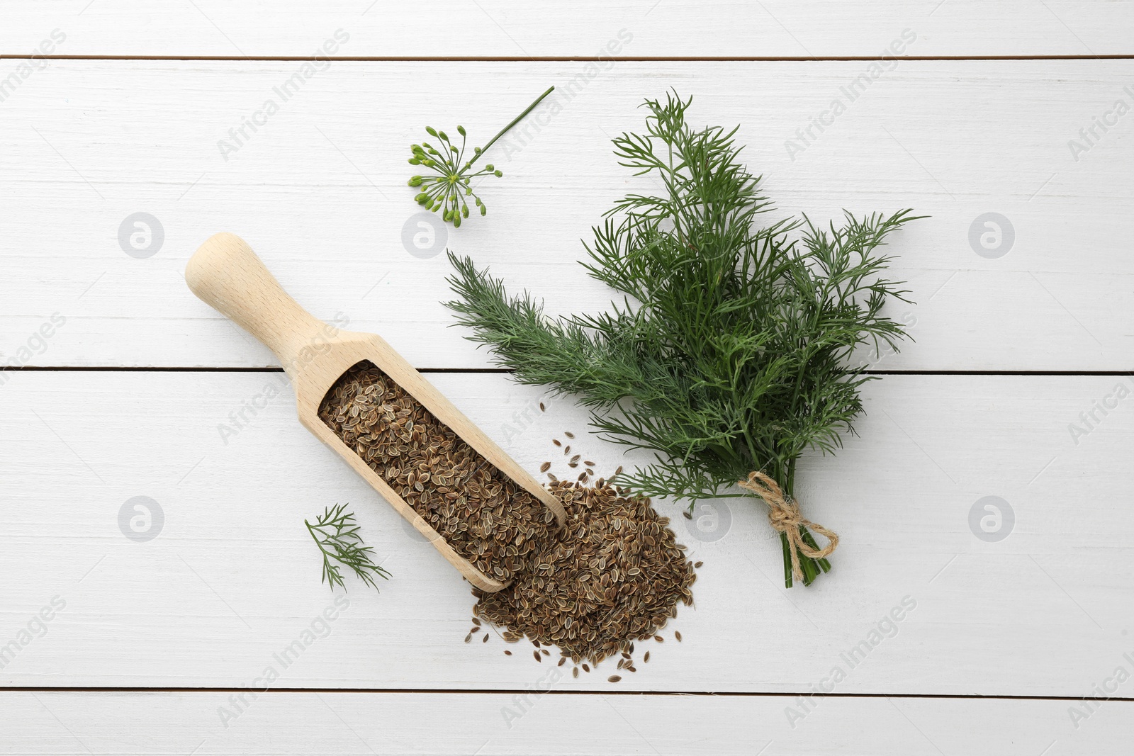 Photo of Dry seeds and fresh dill on white wooden table, flat lay
