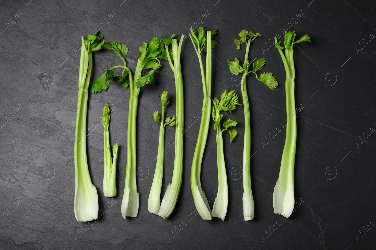 Photo of Fresh green celery on grey table, flat lay