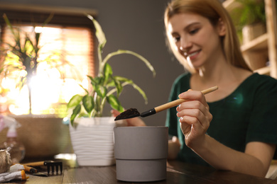 Photo of Young woman taking care of plants at home, focus on hand with shovel. Engaging hobby