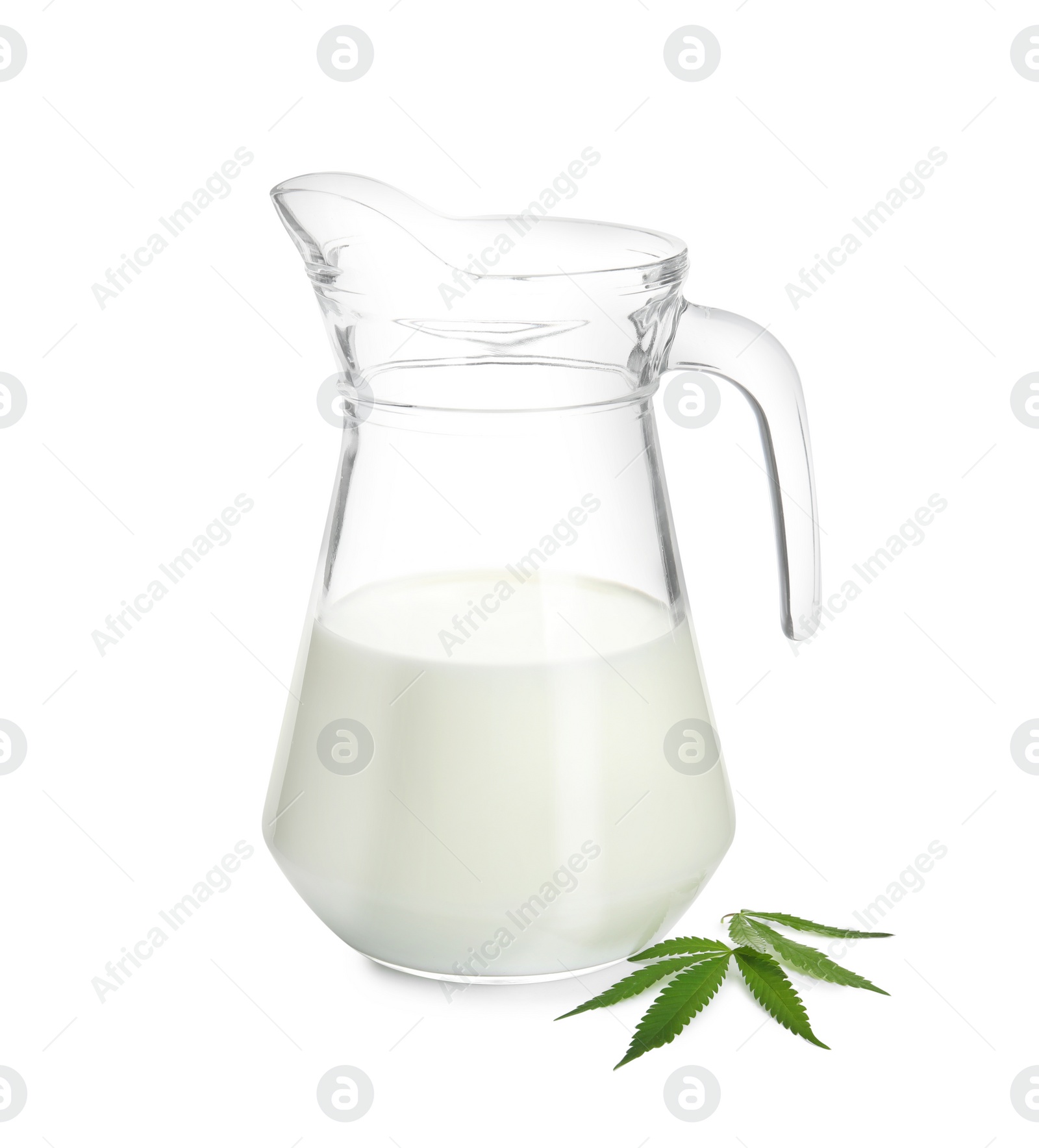 Photo of Pitcher of hemp milk and green leaves on white background