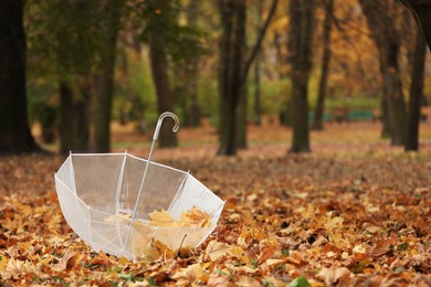 Photo of Open umbrella on fallen leaves in autumn park, space for text