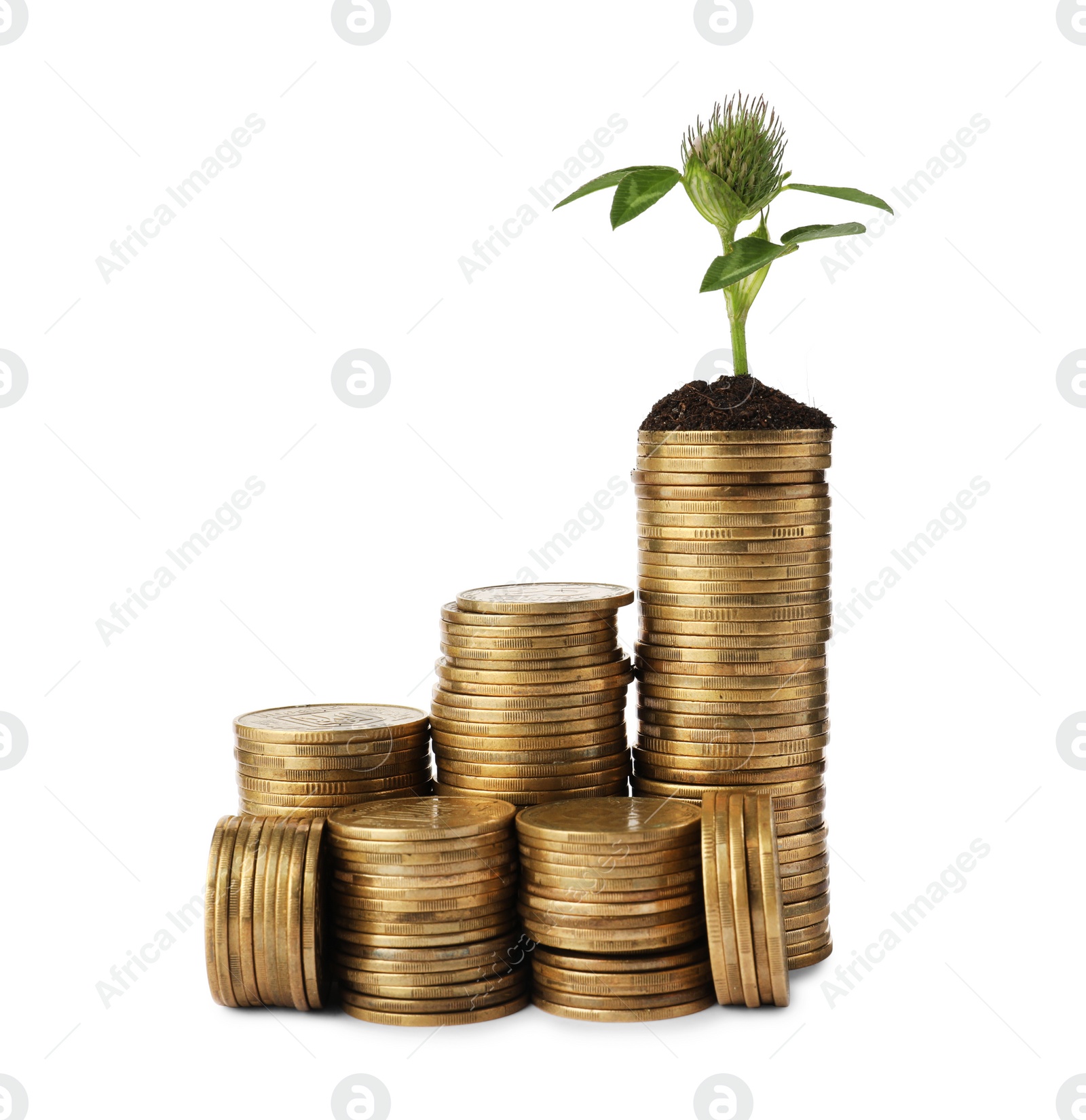 Photo of Stacks of coins with flower isolated on white. Investment concept