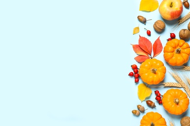 Photo of Flat lay composition with ripe pumpkins and autumn leaves on light blue background, space for text. Happy Thanksgiving day